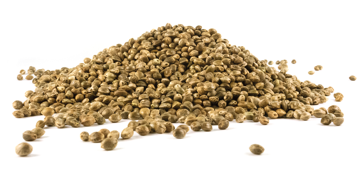 Home Page 4 Graine Background Le Groupe Hemp It