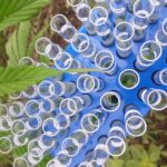 Innovation Varietale